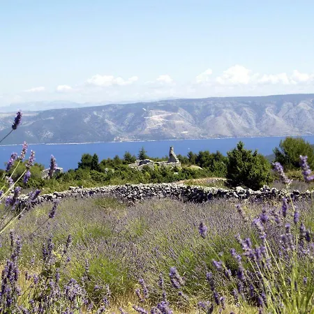 Gostinjska kuća Rade 3*